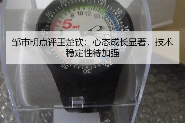 zou-shi-ming-dian-ping-wang-chu-qin-xin-tai-cheng-zhang-xian-zhu-ji-shu-wen-ding-xing-dai-jia-qiang-2-310.jpg